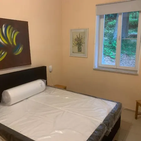 Haus Semper Apartamento