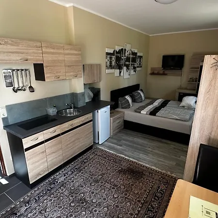 Haus Semper Apartment *